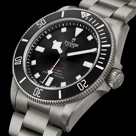 pelagos tudor titanium